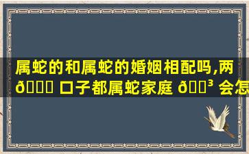 属蛇的和属蛇的婚姻相配吗,两 🐟 口子都属蛇家庭 🌳 会怎么样